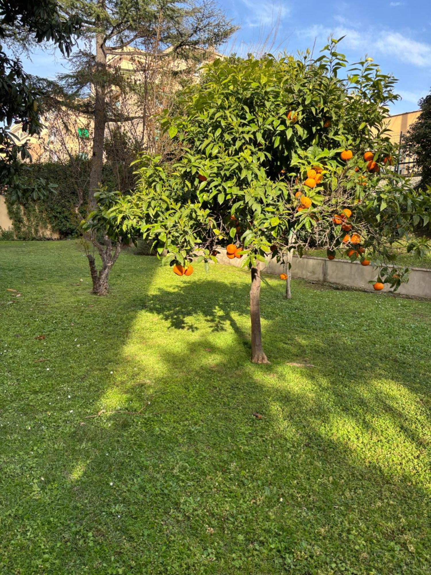 Grelly'S House - Holiday In Rome - 50 Meters From The Metro Bagian luar foto